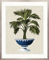 Ornate Palm I - "Designer Boys Collections"