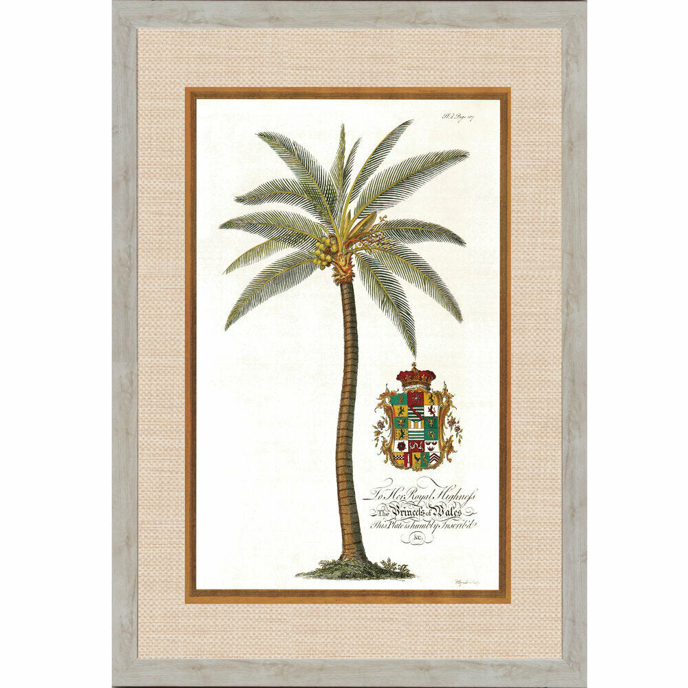 Royal Cocos Palm 2