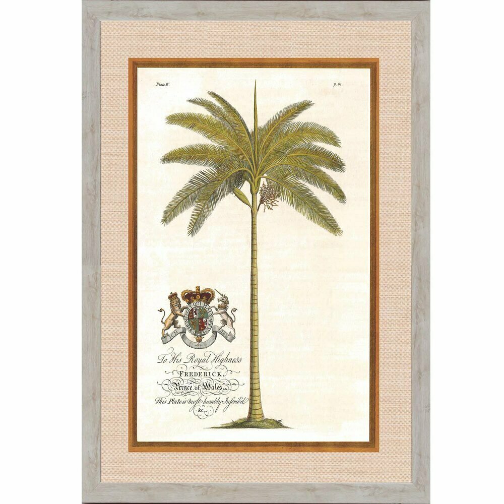 Royal Palm 4