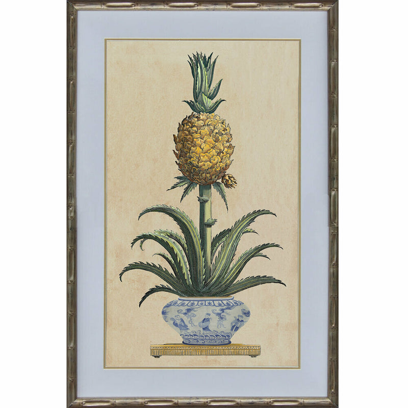 Royal Pineapple 1