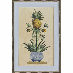 Royal Pineapple 2