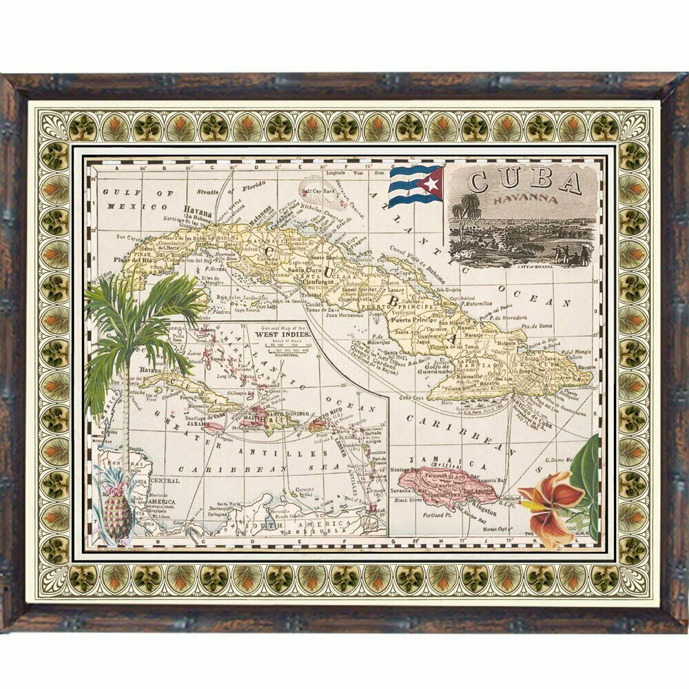Tropical Antique Map 4