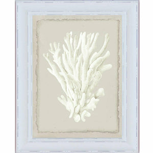 Hamptons White Coral Series 1
