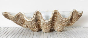 clamshell, clam shell, poly resin clam shell, poly resin clamshell, coastal decor, Columbus clams, style my home clamshell, alfresco emporium,